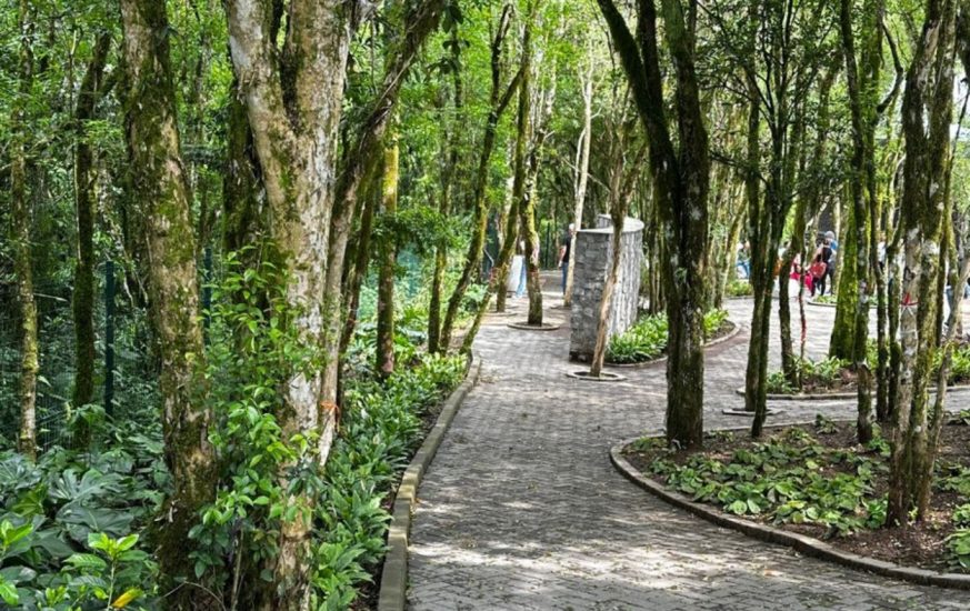 cristo de encantado - moguitur_55