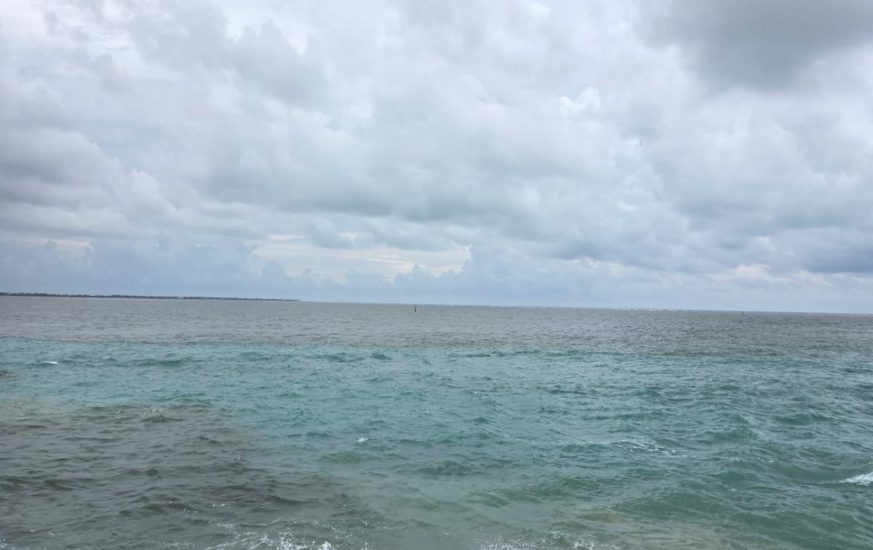 joao pessoa - moguitur_381