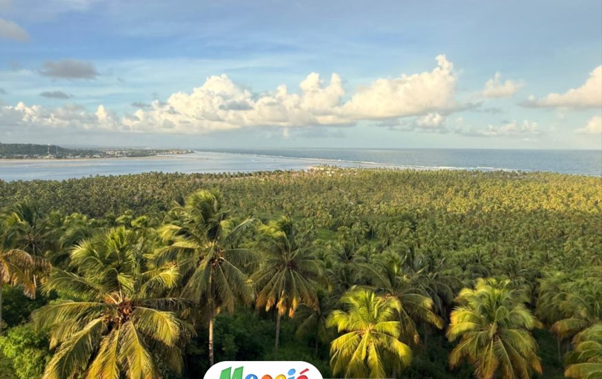maceio - moguitur_157