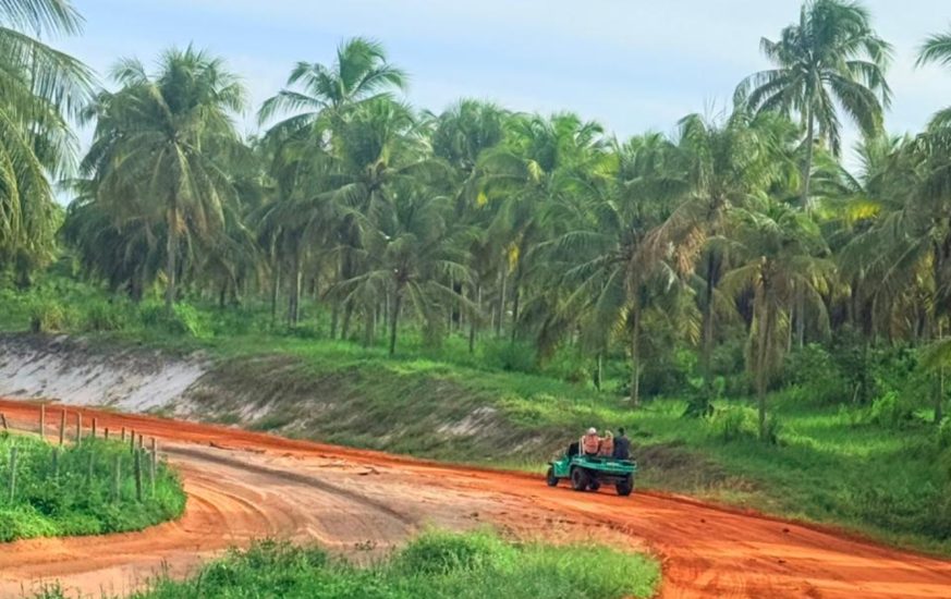 maceio - moguitur_95