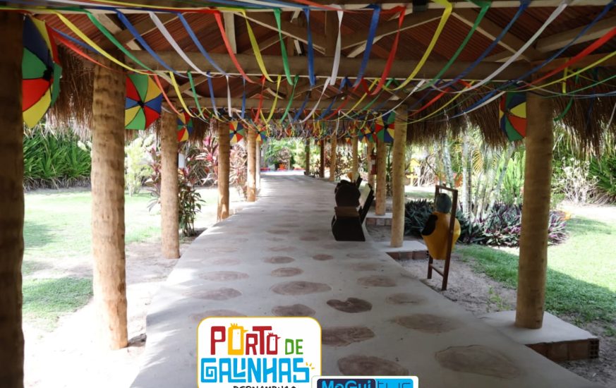 porto de galinhas - moguitur_65 - Copia