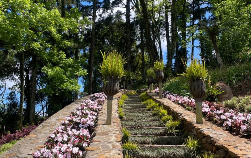 rota da tranquilidade - moguitur_19