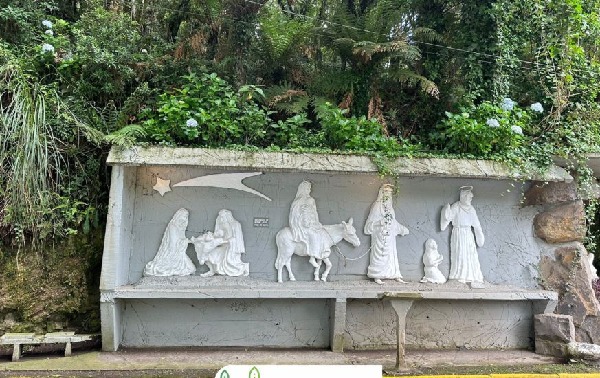são chico - moguitur_90