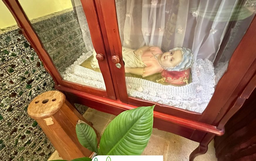 são chico - moguitur_93