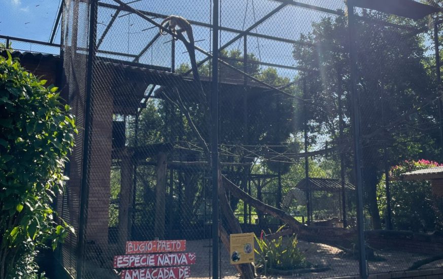 zoo dia das crianças_17