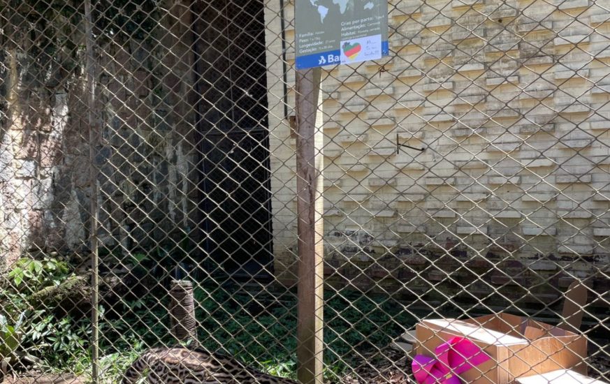 zoo dia das crianças_20