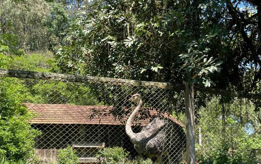 zoo dia das crianças_21